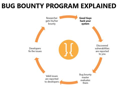 Bounty Programs: What it is, How it Works, Criticisms .